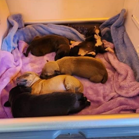 Meet your Posher, Bryn - Picture 6 of 17